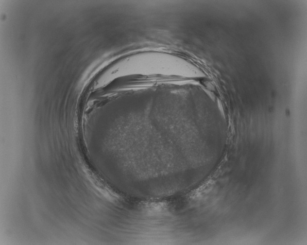 X0000061150247200512161602