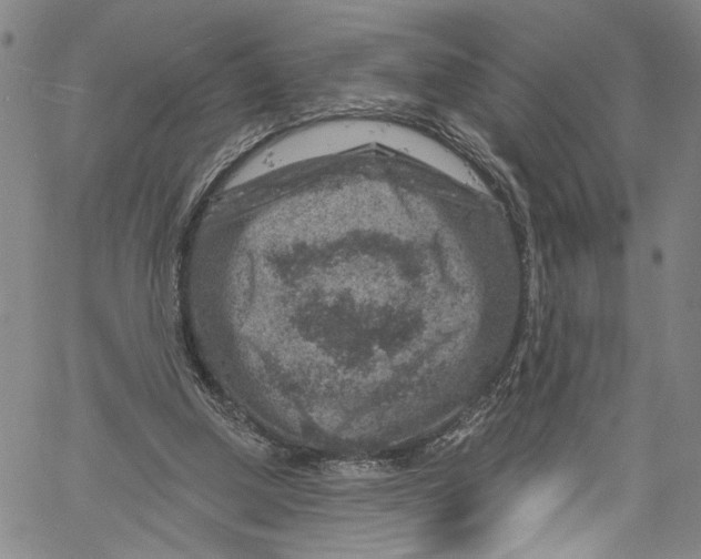 X0000061150250200512161603