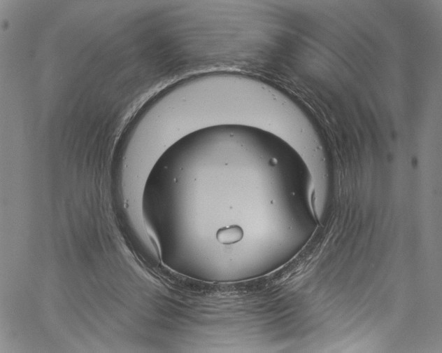 X0000061150252200512161603