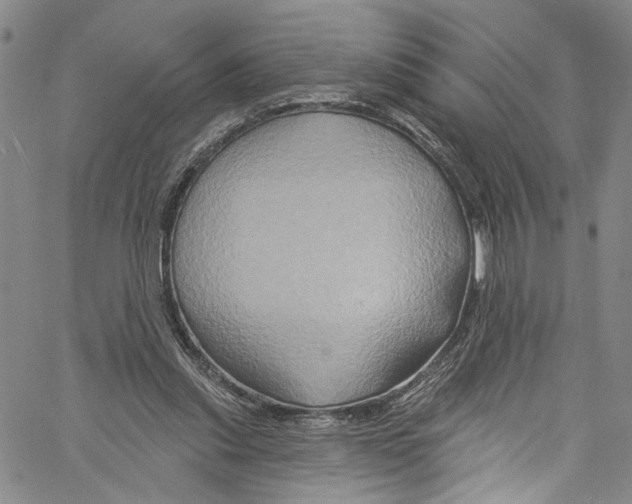 X0000061150253200512161603