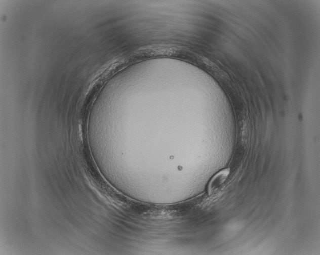 X0000061150254200512161603