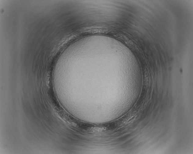 X0000061150255200512161603