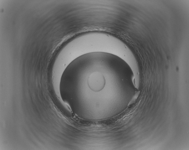 X0000061150256200512161603