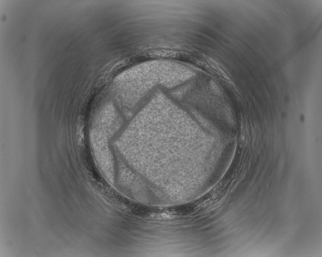 X0000061150259200512161603