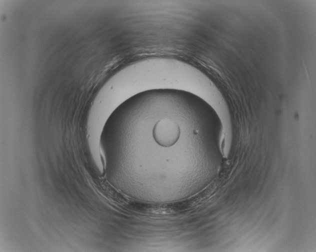 X0000061150264200512161603