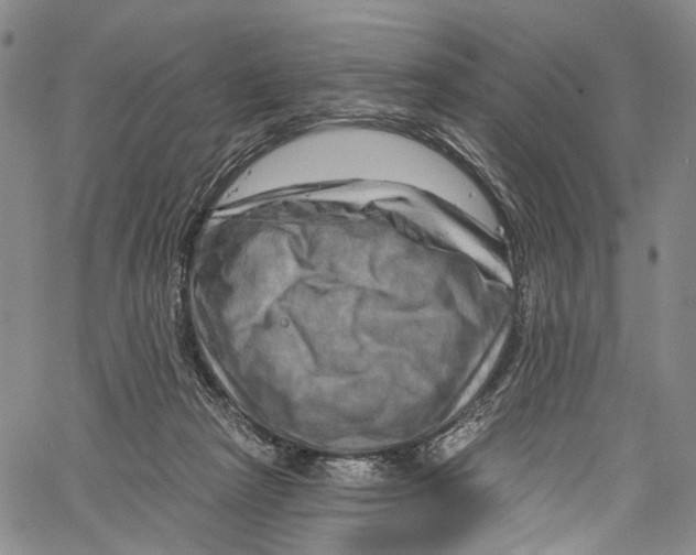 X0000061150265200512161603