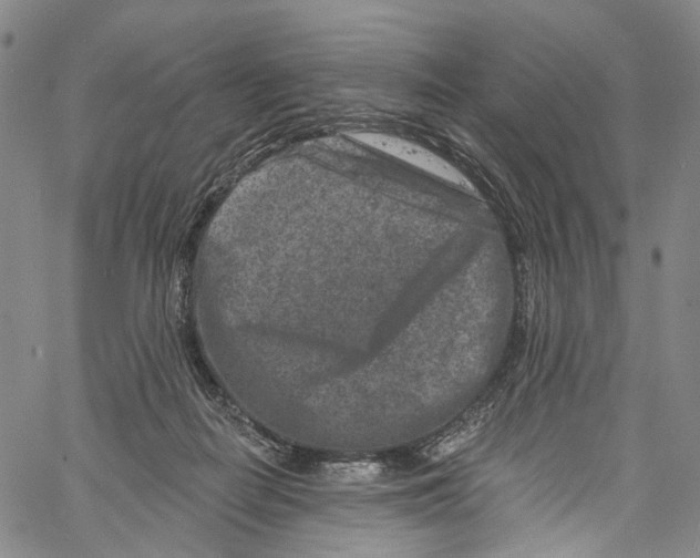 X0000061150266200512161603