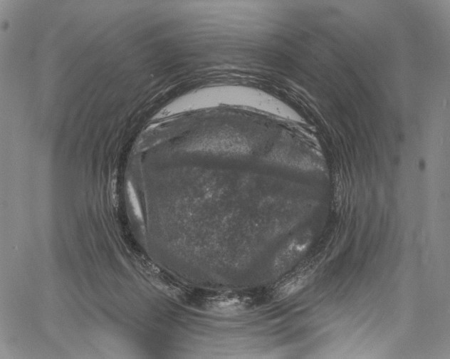 X0000061150267200512161603