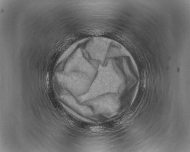 X0000061150268200512161603