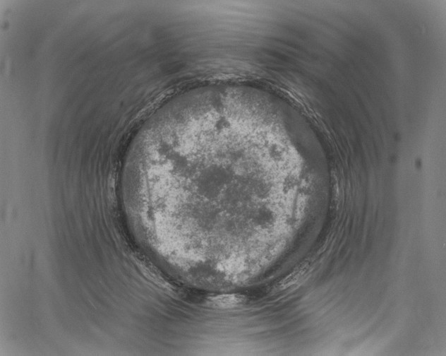 X0000061150269200512161603