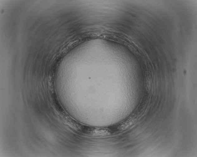 X0000061150270200512161603