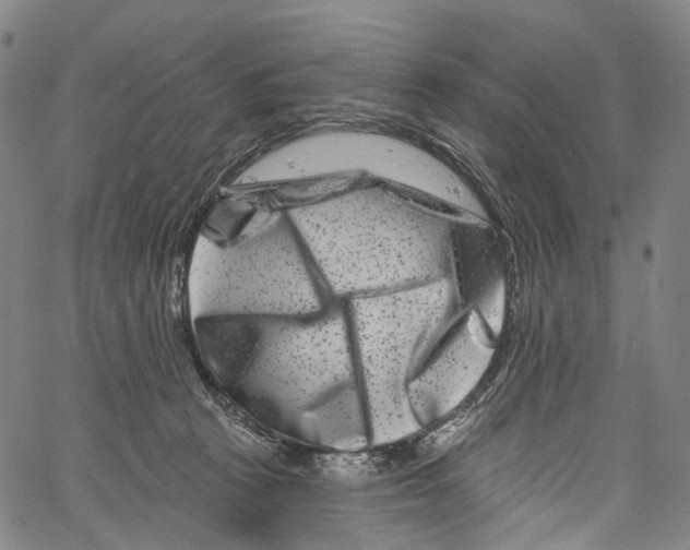 X0000061150273200512161603