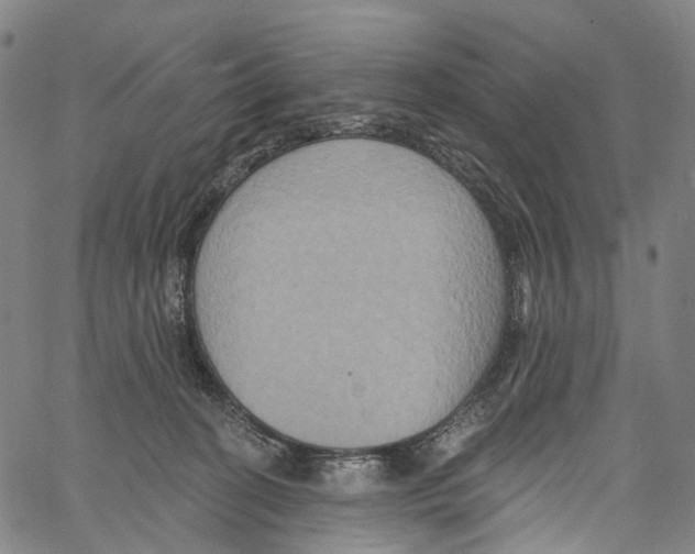 X0000061150274200512161603