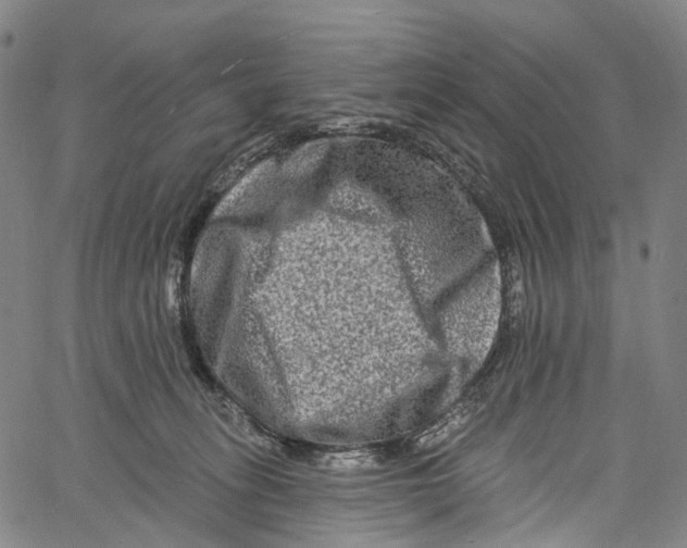 X0000061150275200512161603