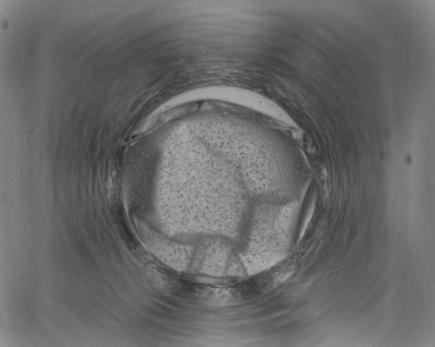 X0000061150276200512161603