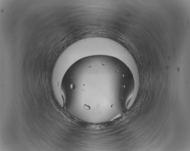 X0000061150277200512161603