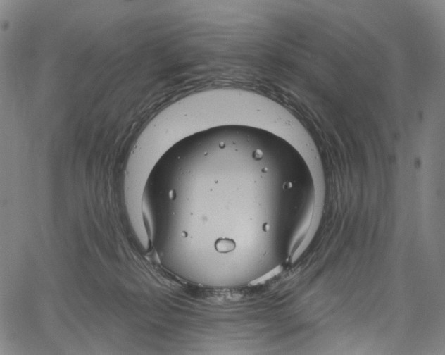 X0000061150278200512161603