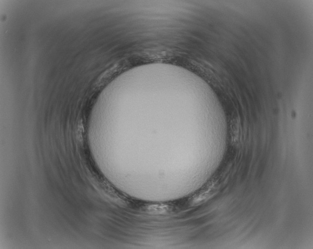 X0000061150279200512161603