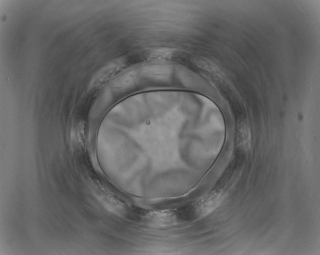 X0000061150280200512161603