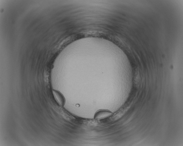 X0000061150282200512161603