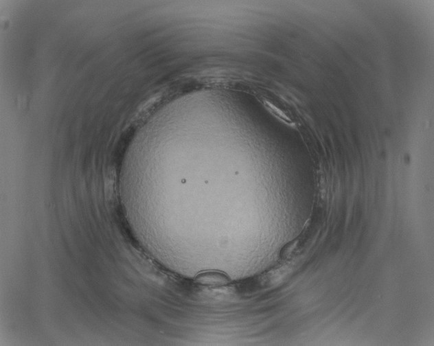 X0000061150283200512161603