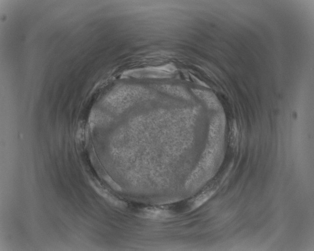 X0000061150284200512161603