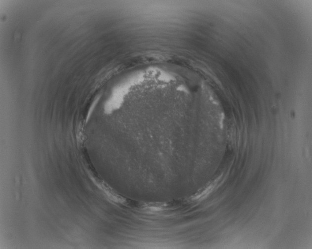 X0000061150285200512161603