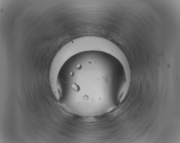 X0000061150287200512161603