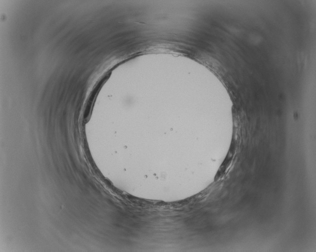 X0000061150289200512161602