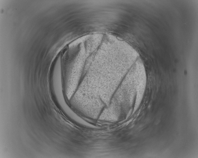 X0000061150290200512161602