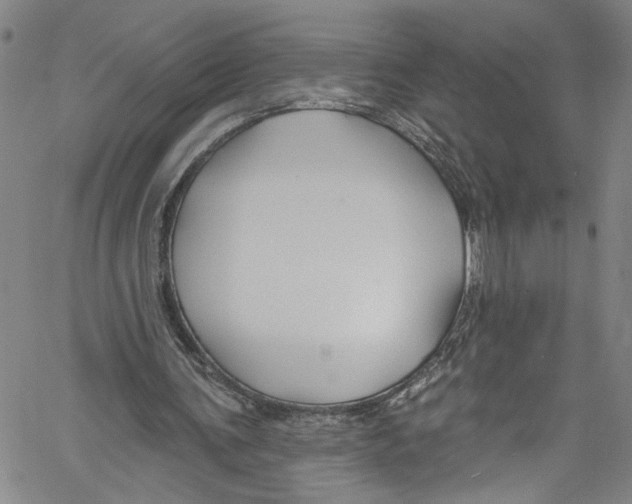 X0000061150291200512161602