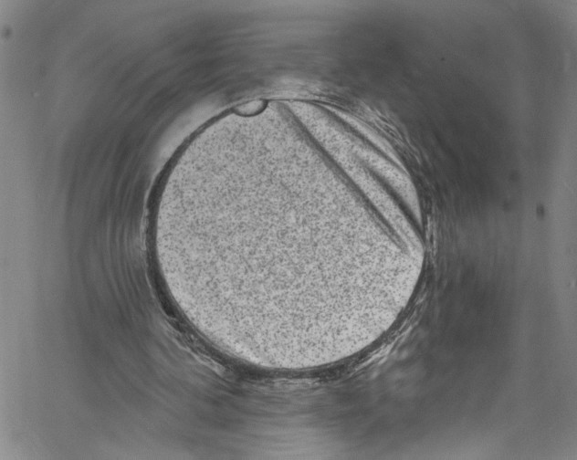 X0000061150292200512161602