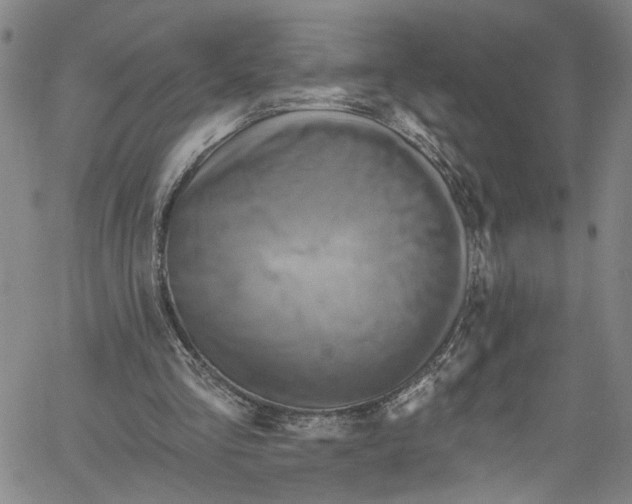 X0000061150293200512161602