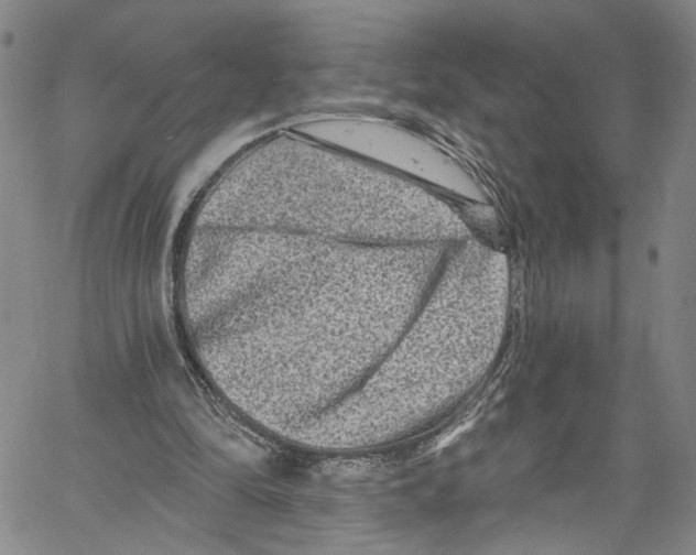 X0000061150294200512161602