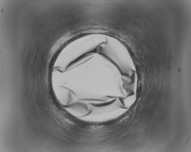 X0000061150296200512161602