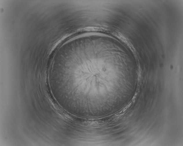 X0000061150297200512161602