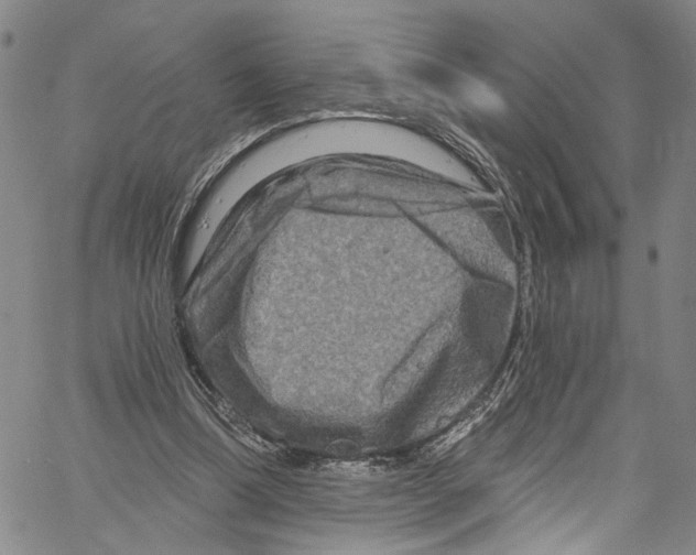 X0000061150298200512161602