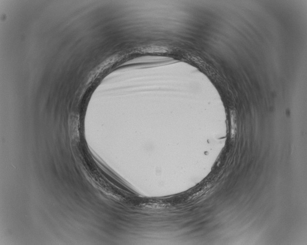 X0000061150300200512161602