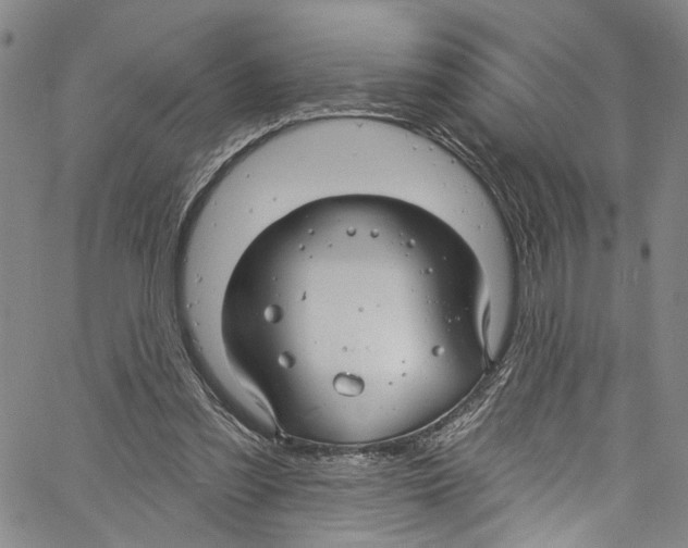 X0000061150301200512161602