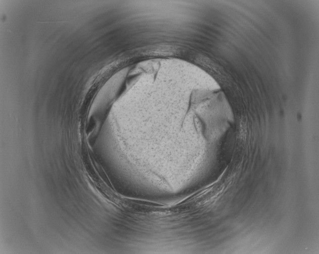 X0000061150302200512161602