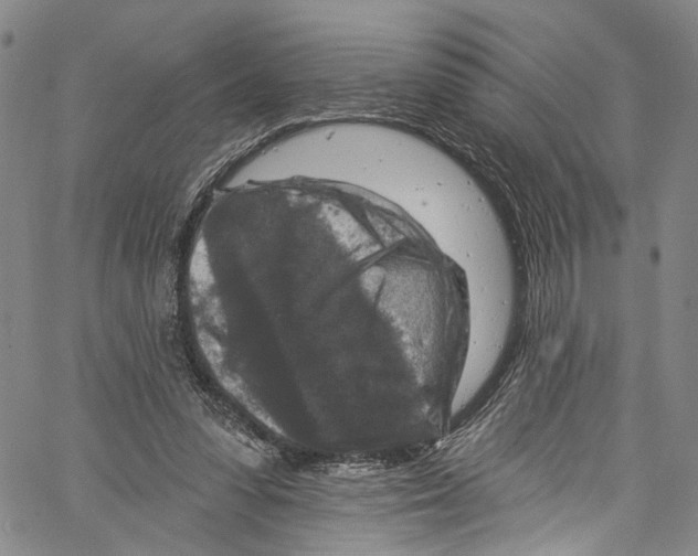 X0000061150303200512161602