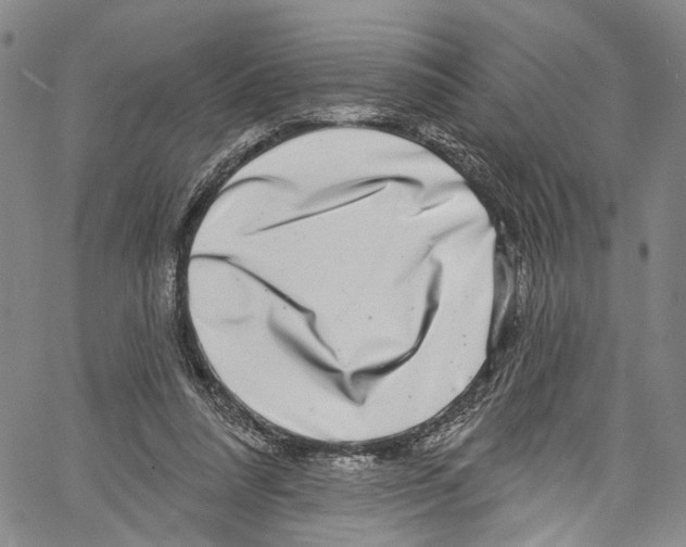 X0000061150304200512161602