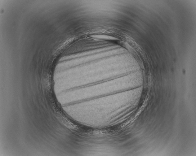 X0000061150305200512161602