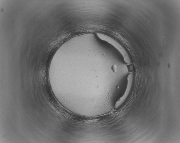 X0000061150306200512161602