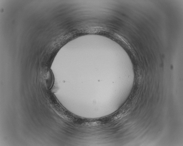 X0000061150307200512161602