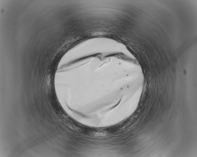 X0000061150308200512161602