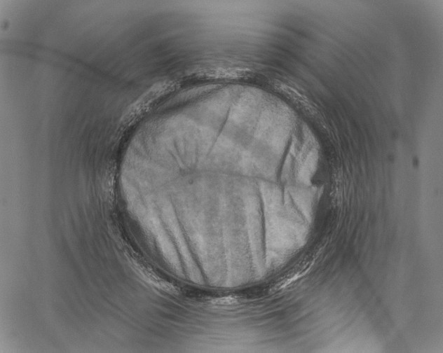 X0000061150309200512161602