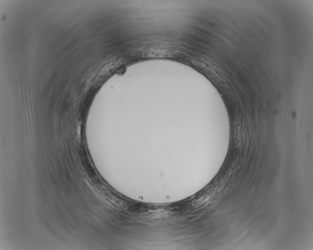 X0000061150310200512161602