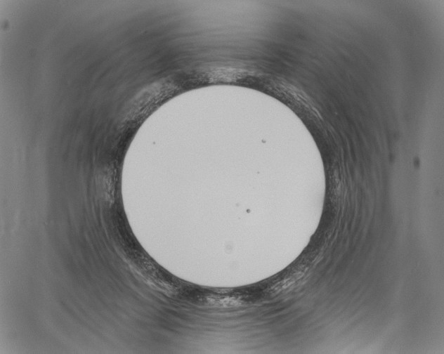 X0000061150311200512161602