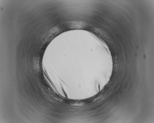 X0000061150312200512161602